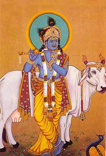 Krishna with the divine white cow